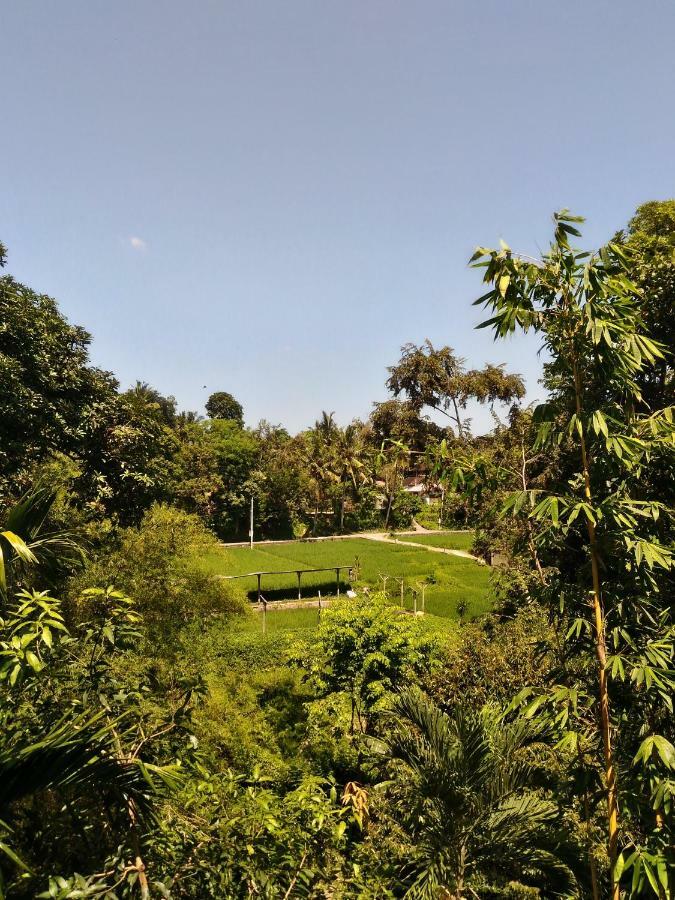 Prasanti Bed & Breakfast Ubud Kültér fotó