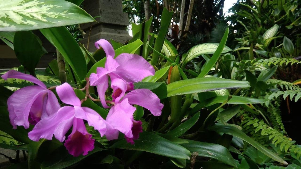 Prasanti Bed & Breakfast Ubud Kültér fotó